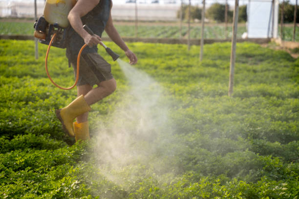 Best Pest Prevention Services  in Slater, IA