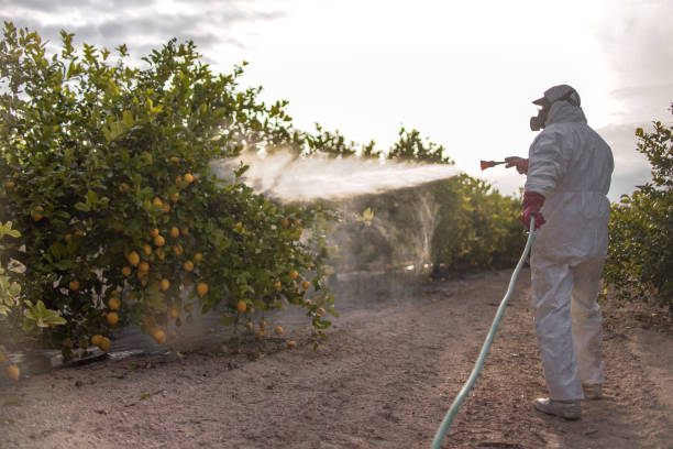 Best Pest Removal Services  in Slater, IA