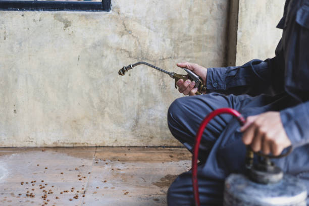 Best Residential Pest Control  in Slater, IA