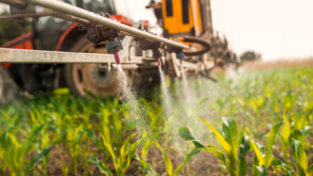 Best Best Pest Control Companies  in Slater, IA